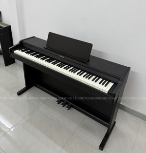 Đàn piano điện Roland RP107