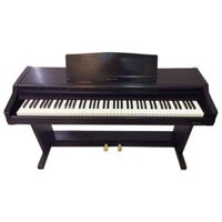 Đàn Piano Điện Technics SXPX 55