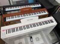 Đàn Piano Điện Victor VT02 Mới Nhất 2025 Tại Hải Phòng