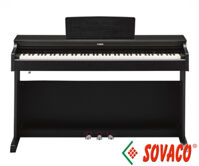 Đàn Piano Điện Yamaha CLP-311