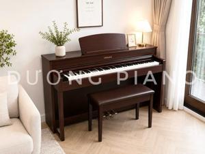 Đàn Piano Điện Yamaha CLP-545M