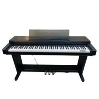 Đàn Piano điện Yamaha CLP 560 giá tốt, chất lượng cao