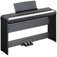 Đàn Piano Điện Yamaha P105