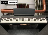 Đàn Piano Điện Yamaha P115