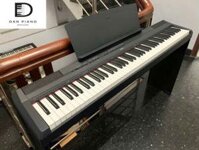 Đàn Piano Điện Yamaha P115