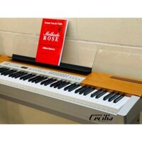 Đàn piano điện Yamaha P120