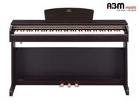 Đàn Piano Điện Yamaha YDP 164