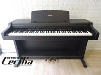 Đàn Piano điện Yamaha YDP301 - Piano điện Nhật Bản