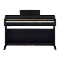 Đàn Piano Điện Yamaha YDP-162B