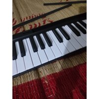 Đàn piano gấp gọn 88 phím Hutadu HD01