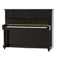 Đàn Piano Gold Star TG-150E