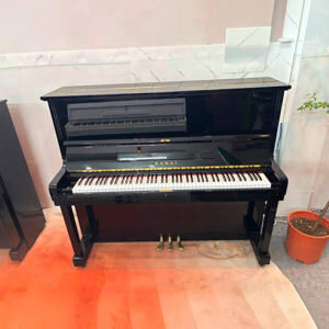 Đàn Piano Kawai KU2D