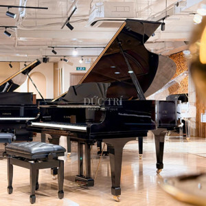 Đàn Piano Kawai RX-5