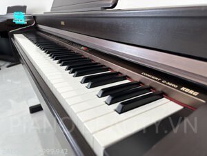 Đàn Piano Korg C-3200 (C3200)