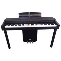 Đàn Piano Korg C40