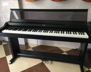 Đàn Piano Korg C5000