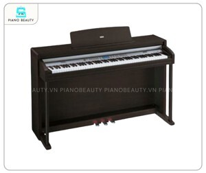 Đàn Piano Korg C520
