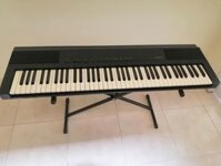 Đàn Piano Korg DP80 Học Sinh Giá Chỉ Từ 2tr