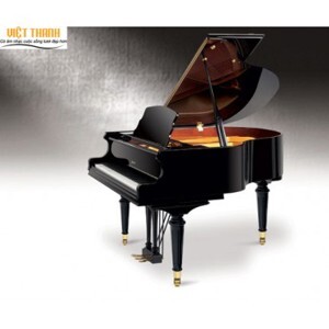 Đàn piano Ritmuller GP148R1
