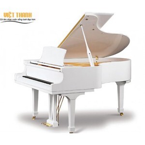 Đàn Piano Ritmuller GP160R1