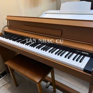 Đàn Piano Roland DP-900