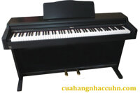 Đàn Piano Roland HP45