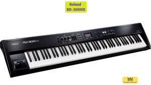 Đàn Piano Roland RD-300NX