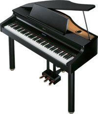 Đàn Piano Roland RG 1FSB