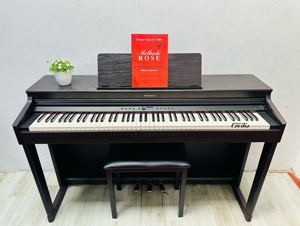 Đàn piano Roland RP-701