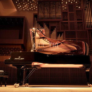 Đàn Piano Shigeru Kawai SK-EX