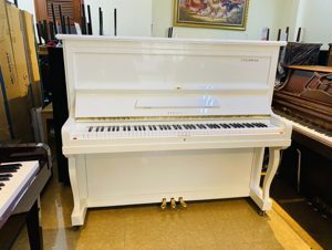 Đàn piano Steinrich S10