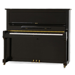 Đàn piano Steinrich S10