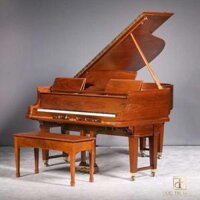ĐÀN PIANO STEINWAY & SONS STYLE XR DUO ART