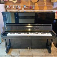Đàn Piano Upright Eastein