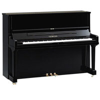Đàn Piano Upright Yamaha U3 PE