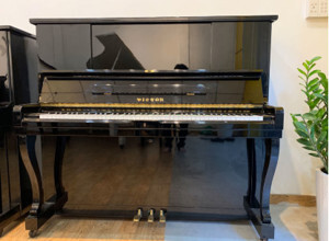 Đàn piano Victor V7
