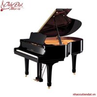 Đàn Piano Yamaha C2X PE