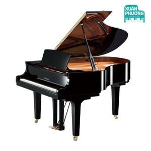 Đàn piano Yamaha C2X