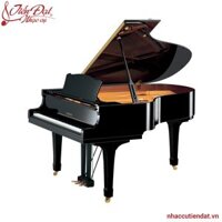 Đàn Piano Yamaha C3 PE