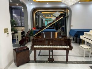 Đàn piano Yamaha C3B
