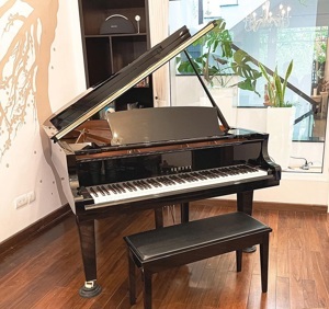 Đàn piano Yamaha C3X