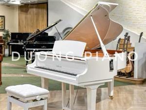 Đàn piano Yamaha C3X