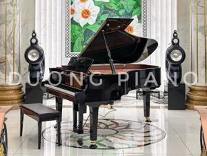 Đàn piano Yamaha C5
