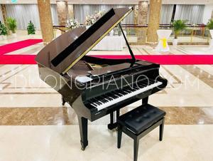 Đàn piano Yamaha C5E