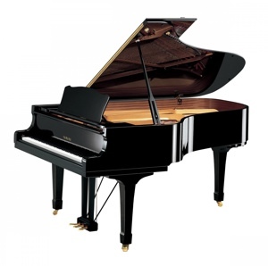 Đàn Piano Yamaha C6-PE