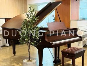 Đàn Piano Yamaha C7A