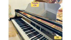 Đàn Piano Yamaha C7B