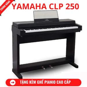 Đàn Piano Yamaha CLP-250