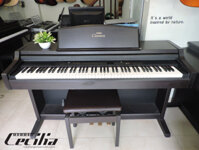 Đàn Piano Yamaha CLP840 | Piano Cecilia