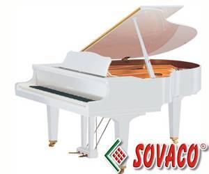 Đàn Piano Yamaha G2